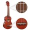 Ashthorpe Soprano Ukulele for Beginners, 21-inch 4 String Uke Starter Bundle Kit for Kids with Gig Bag, Cloth, and Picks